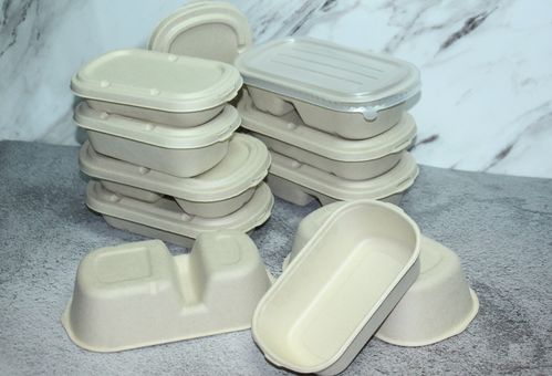 植物纖維紙漿制品分類及其在廚衛日用領域的應用 聚焦一次性可降解模塑產品的優勢與挑戰